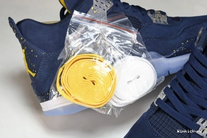 4 Jordan Michigan Retro AJ4 0902